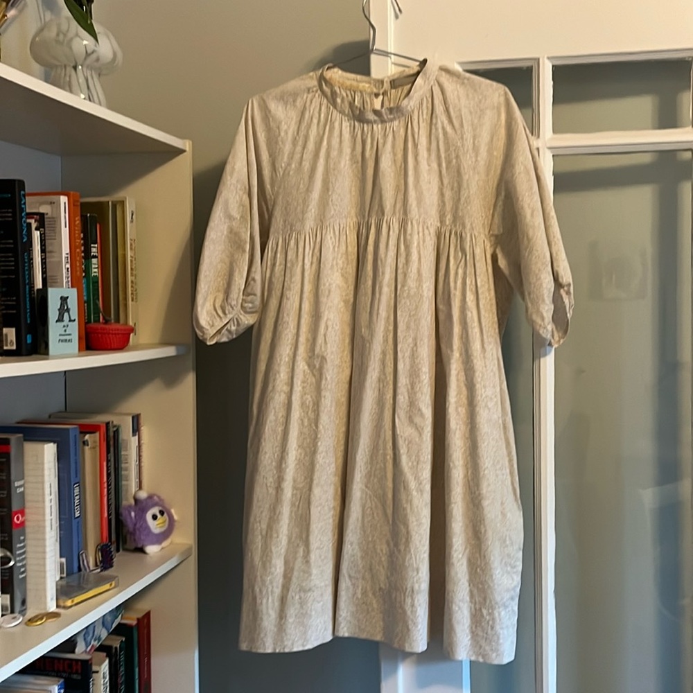 Everlane mockneck dress